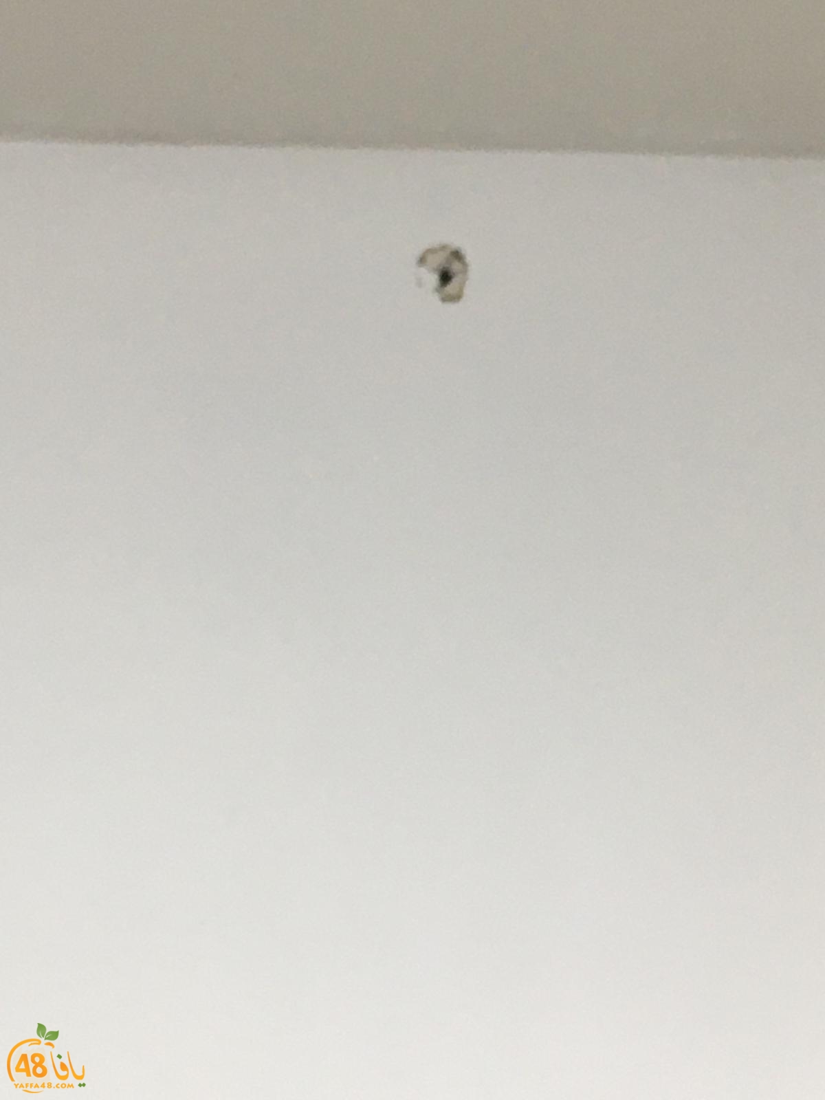 WhatsApp Image 2021-01-24 at 9.04.02 AM.jpeg